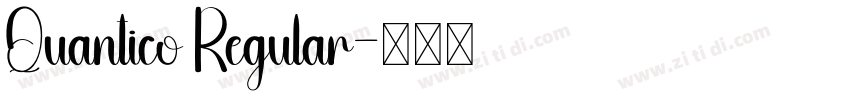 Quantico Regular字体转换